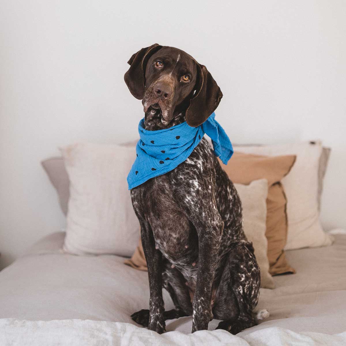 BIANCA SWADDLE HEART GREEK BLUE: GREEK BLUE / HEART