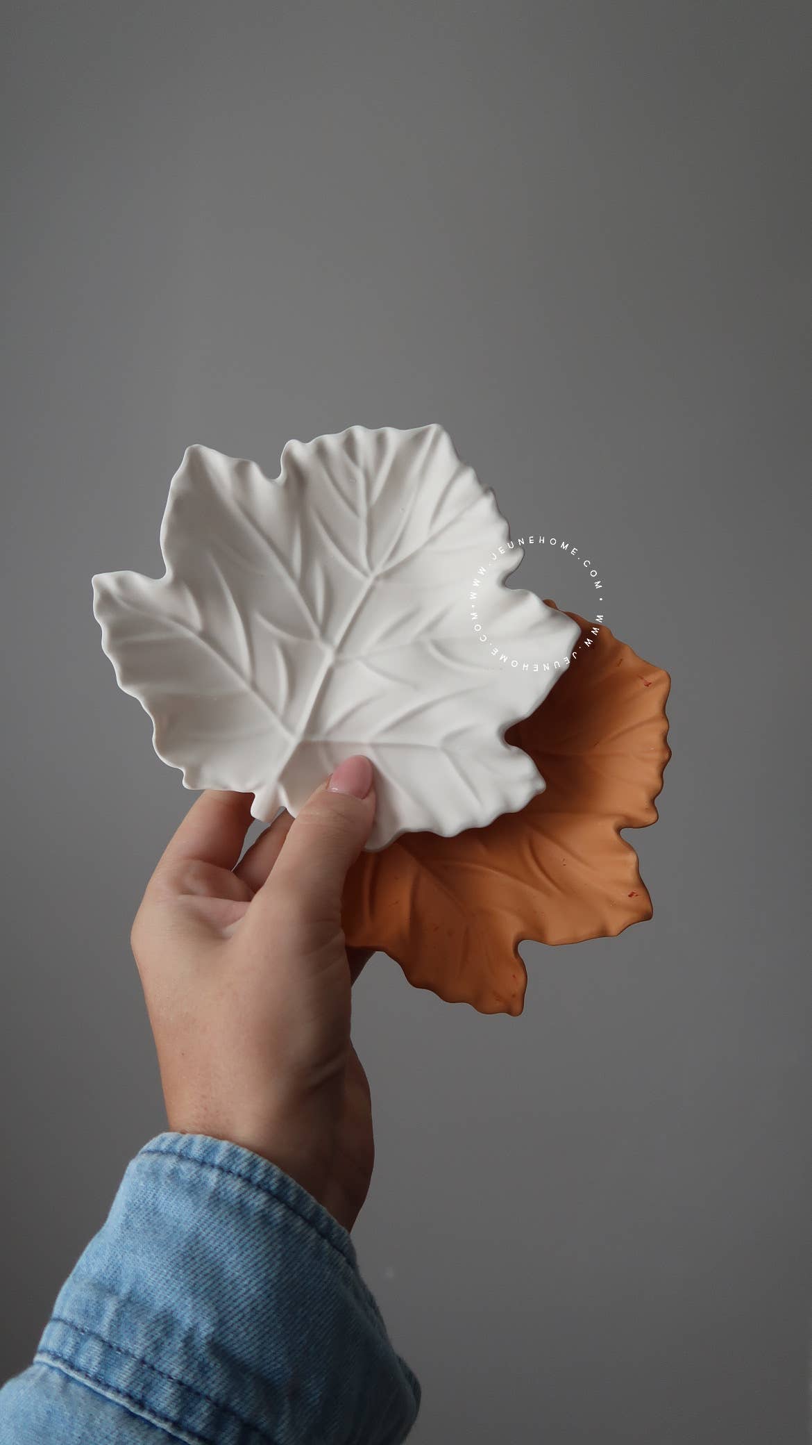Leaf tray : White