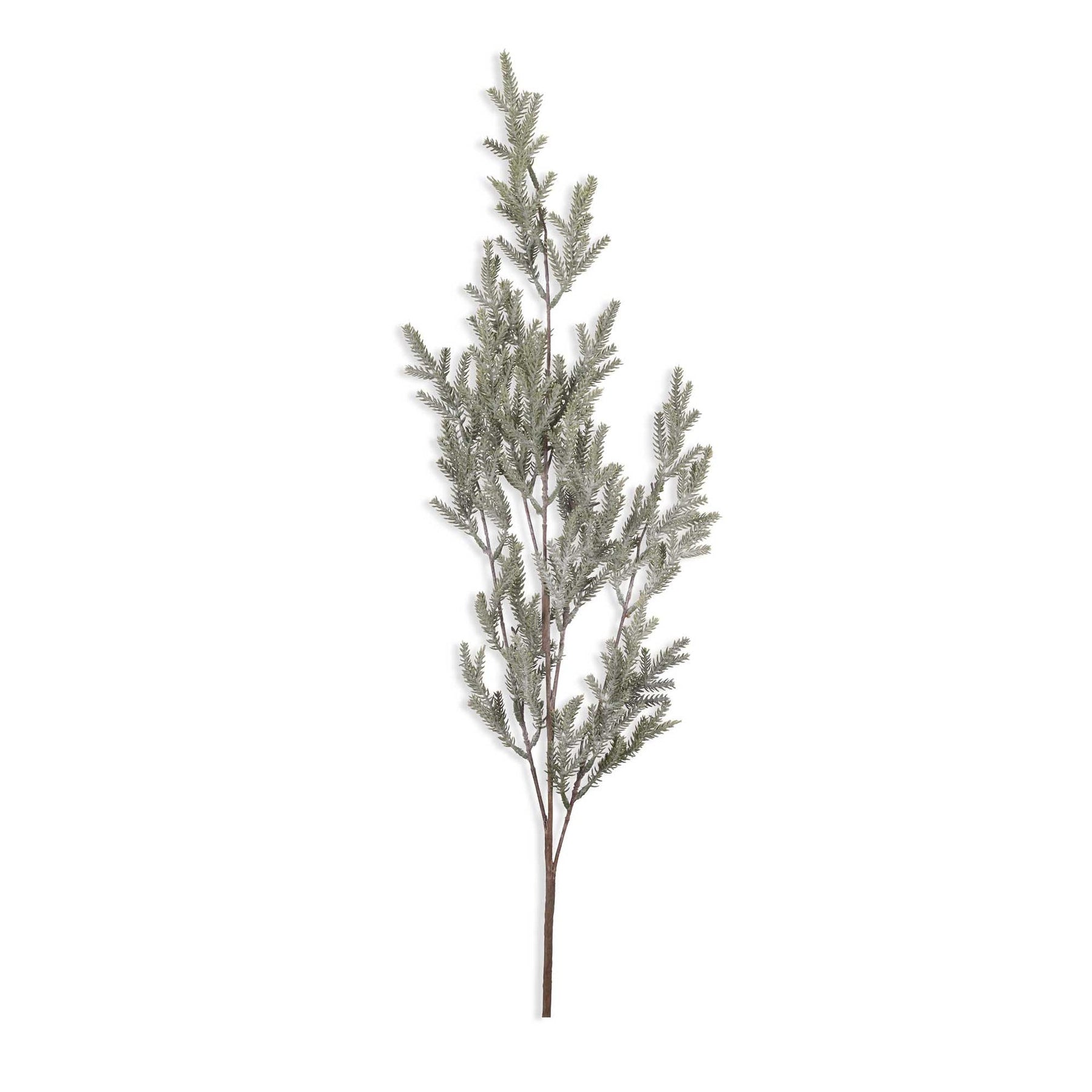 Pine Branch Frost