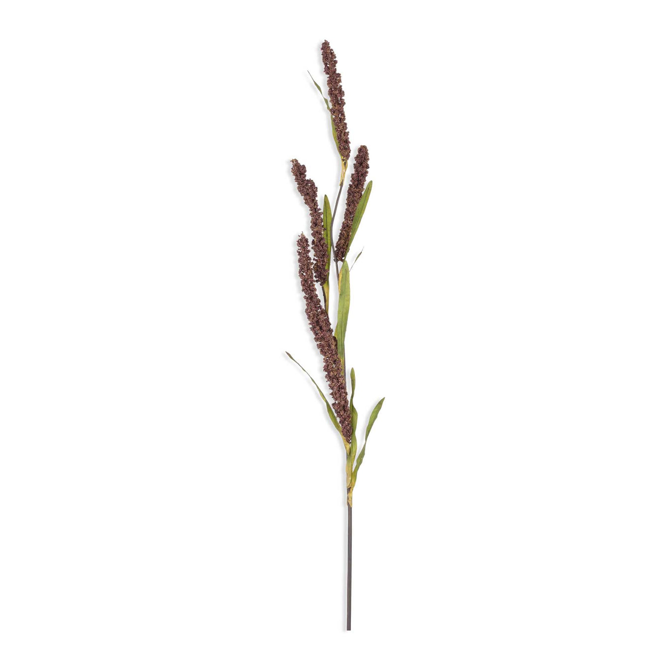 Rice Flower