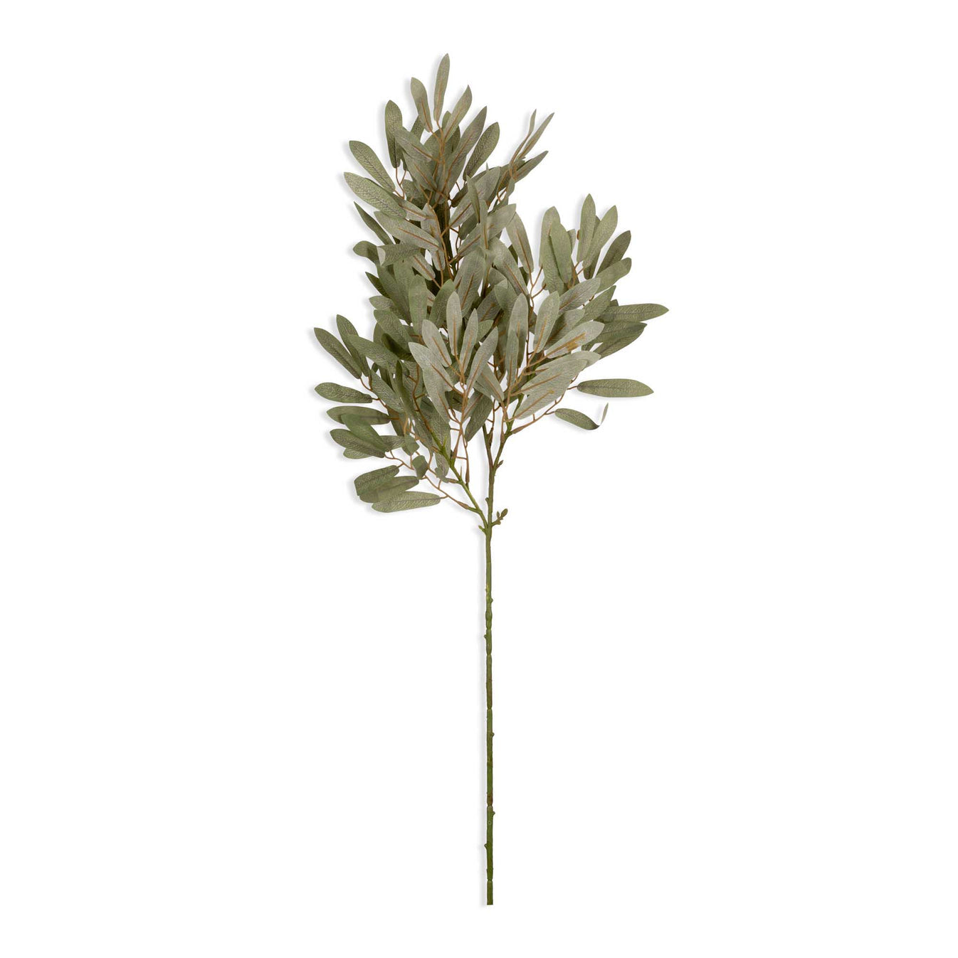 Willow Soft Green