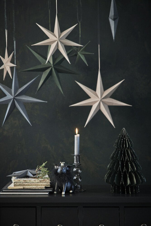 Pappia Star Meer