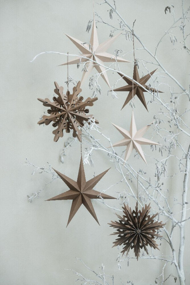 Pappia Star Rose Smoke Large