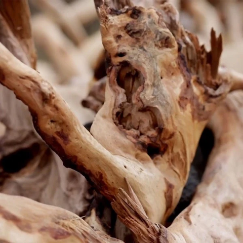 Sandalwood & Patchouli Large Tumbler