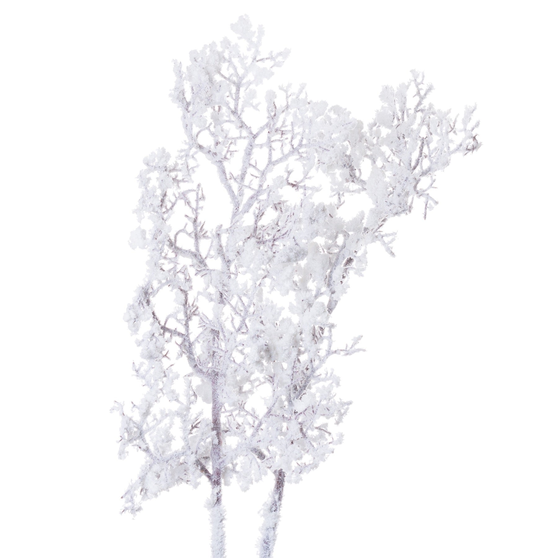 Statement Snowy Branch