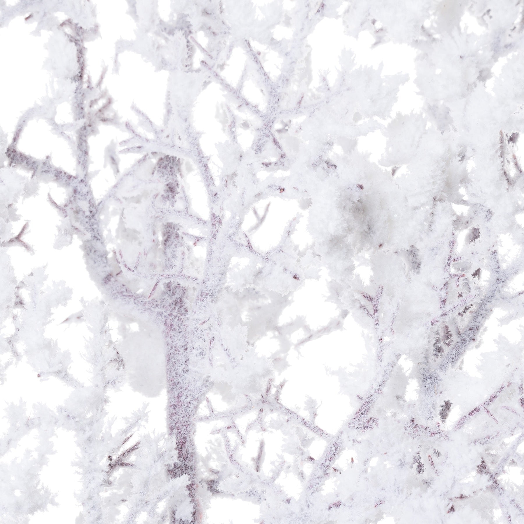 Statement Snowy Branch