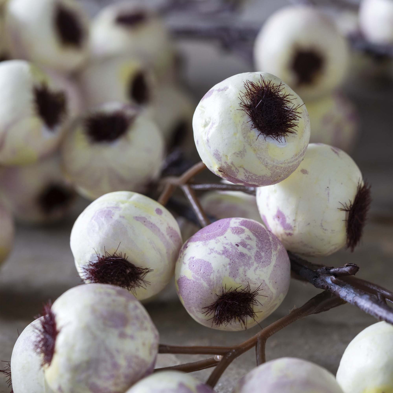 Hawthorn Cream