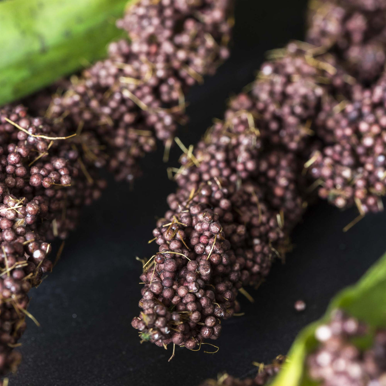 Rice Flower