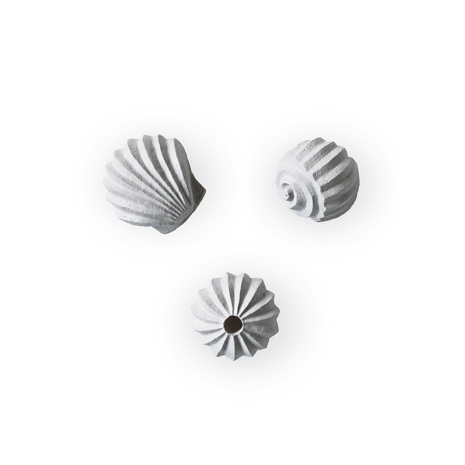 Cooee Sculpture The Genesis Shells