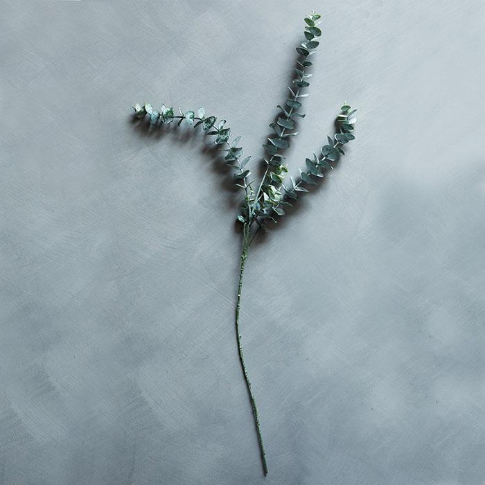 Eucalyptus-Sage-single