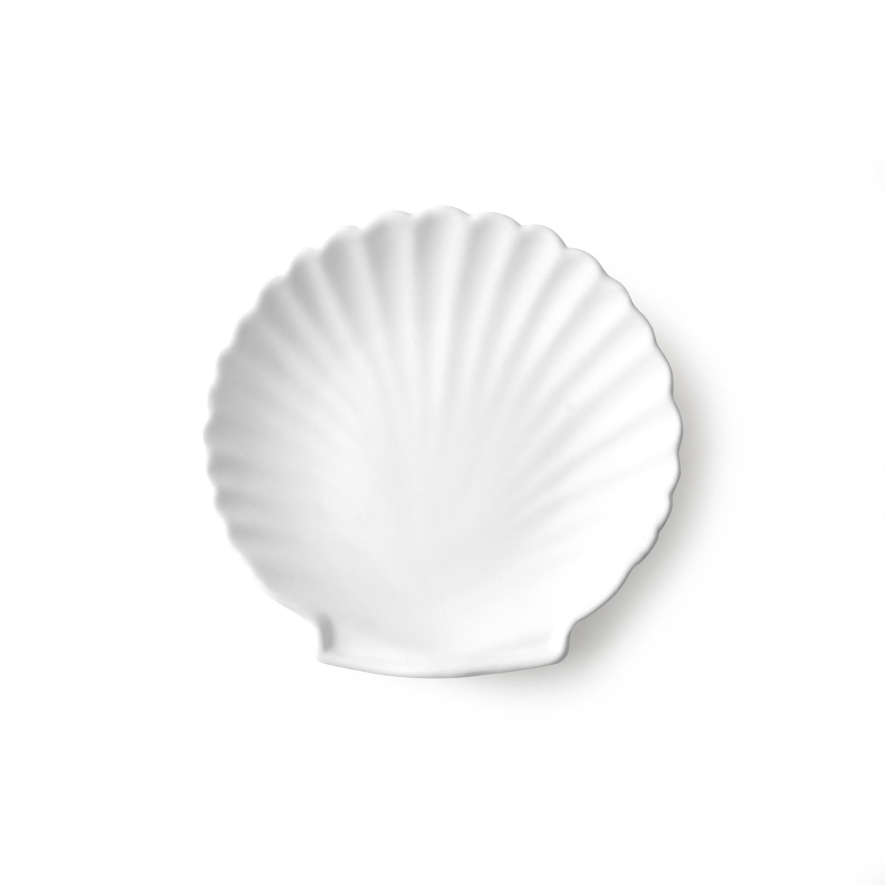 HK LIiving ceramic shell tray m whiteace6849-hr_01