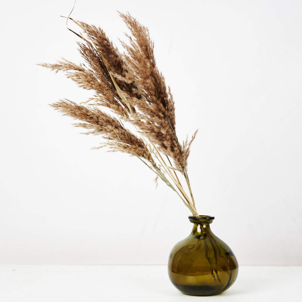 Reed-Grass-5-Stems-wyld-home_50982577-b9c9-4299-a8e9-710423d9f023_5000x