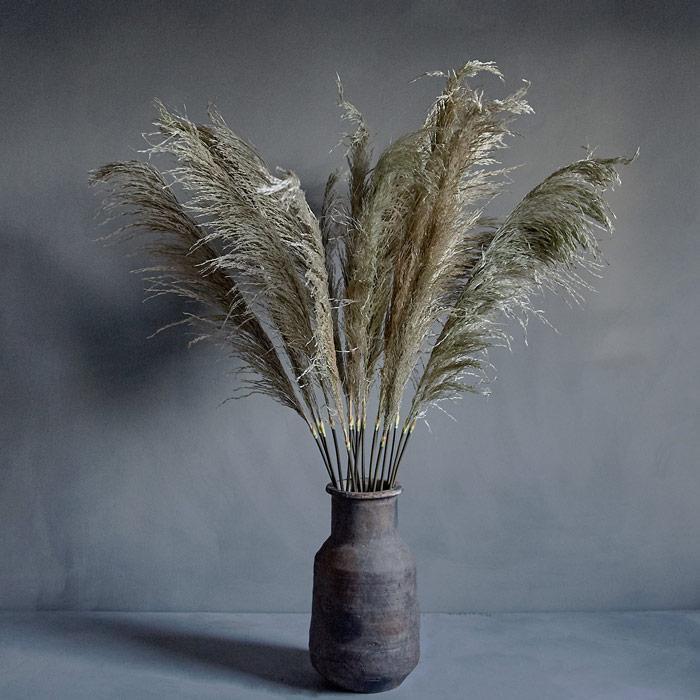 Single-Pampas_Panobo-Vase