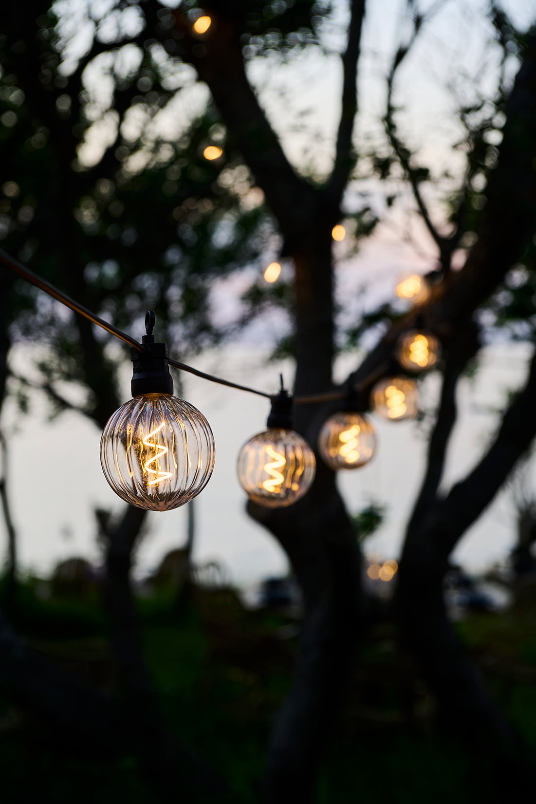 Patio and garden store string lights set