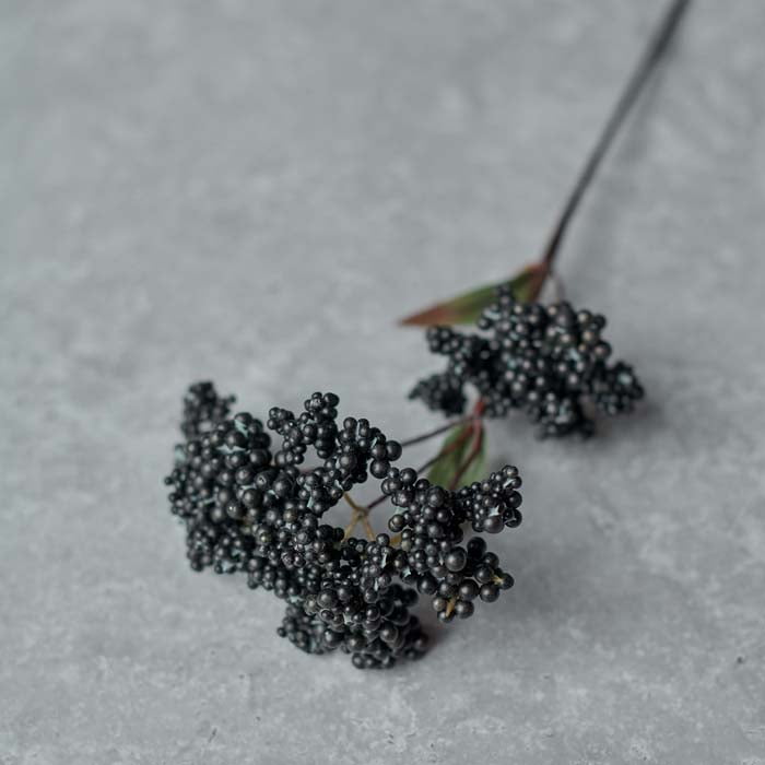 Wild-Berry-Stem-Midnight-Abigail-Ahern-4