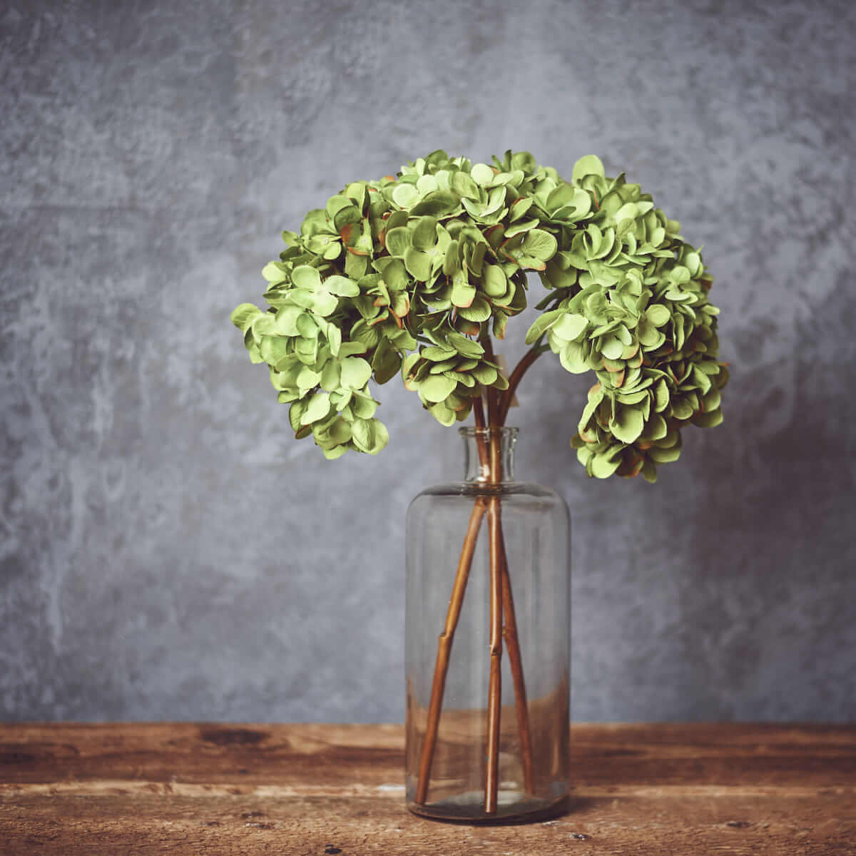 green hydrangea