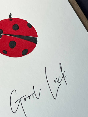 Good Luck Ladybug Card