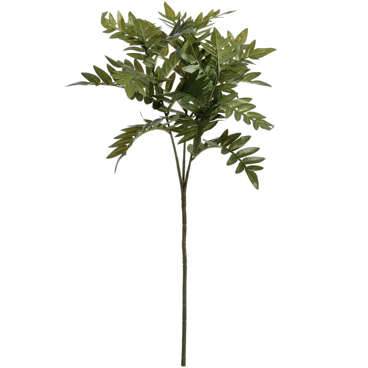 Pistach Bunch