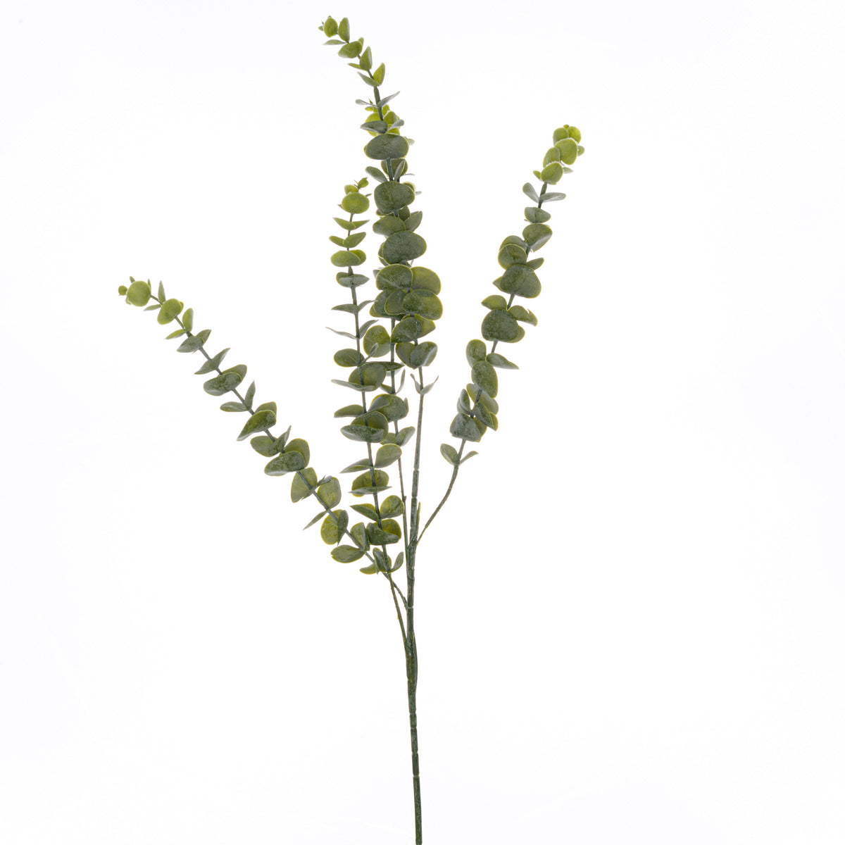 Gunnii Sage Eucalyptus Spray