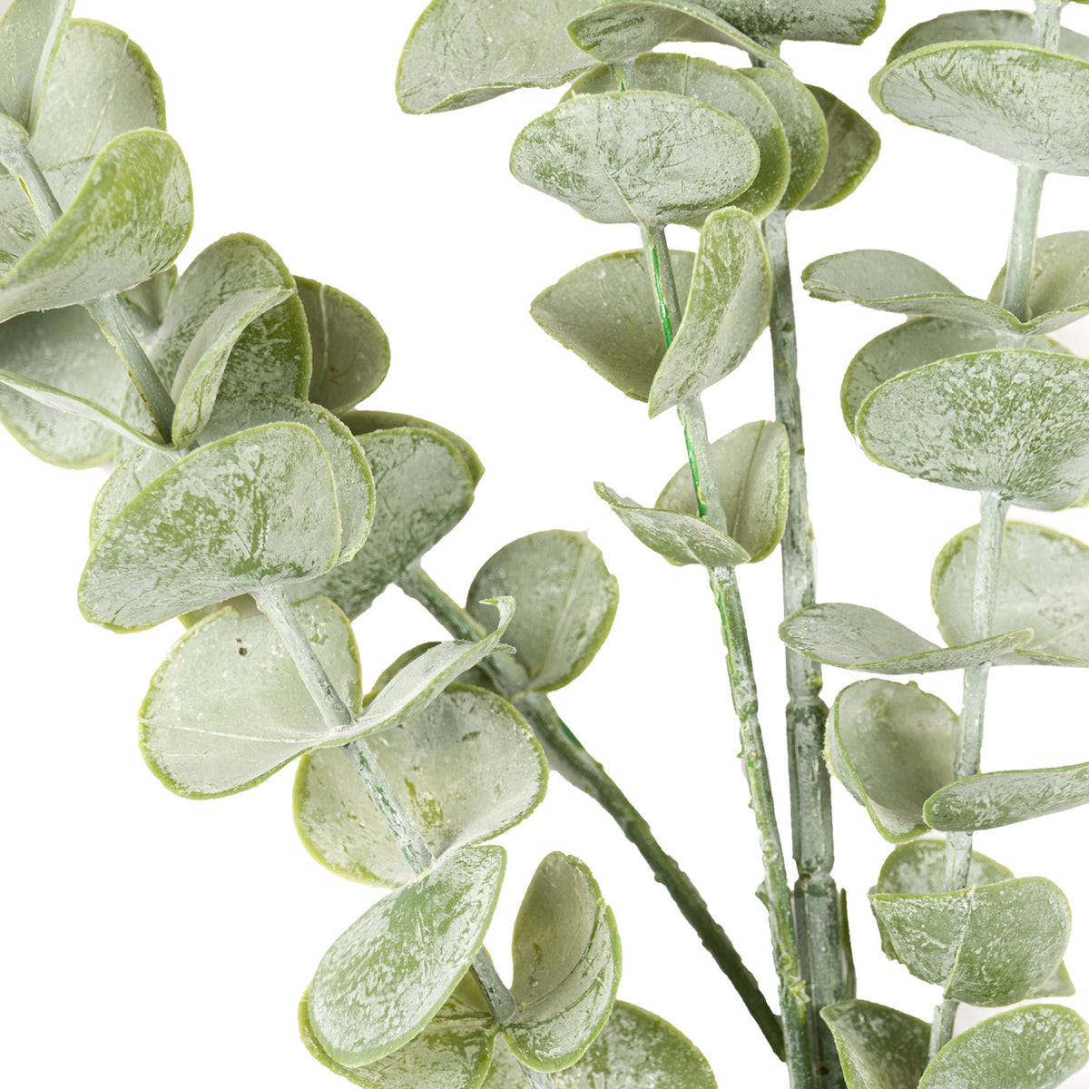 Gunnii Sage Eucalyptus Spray