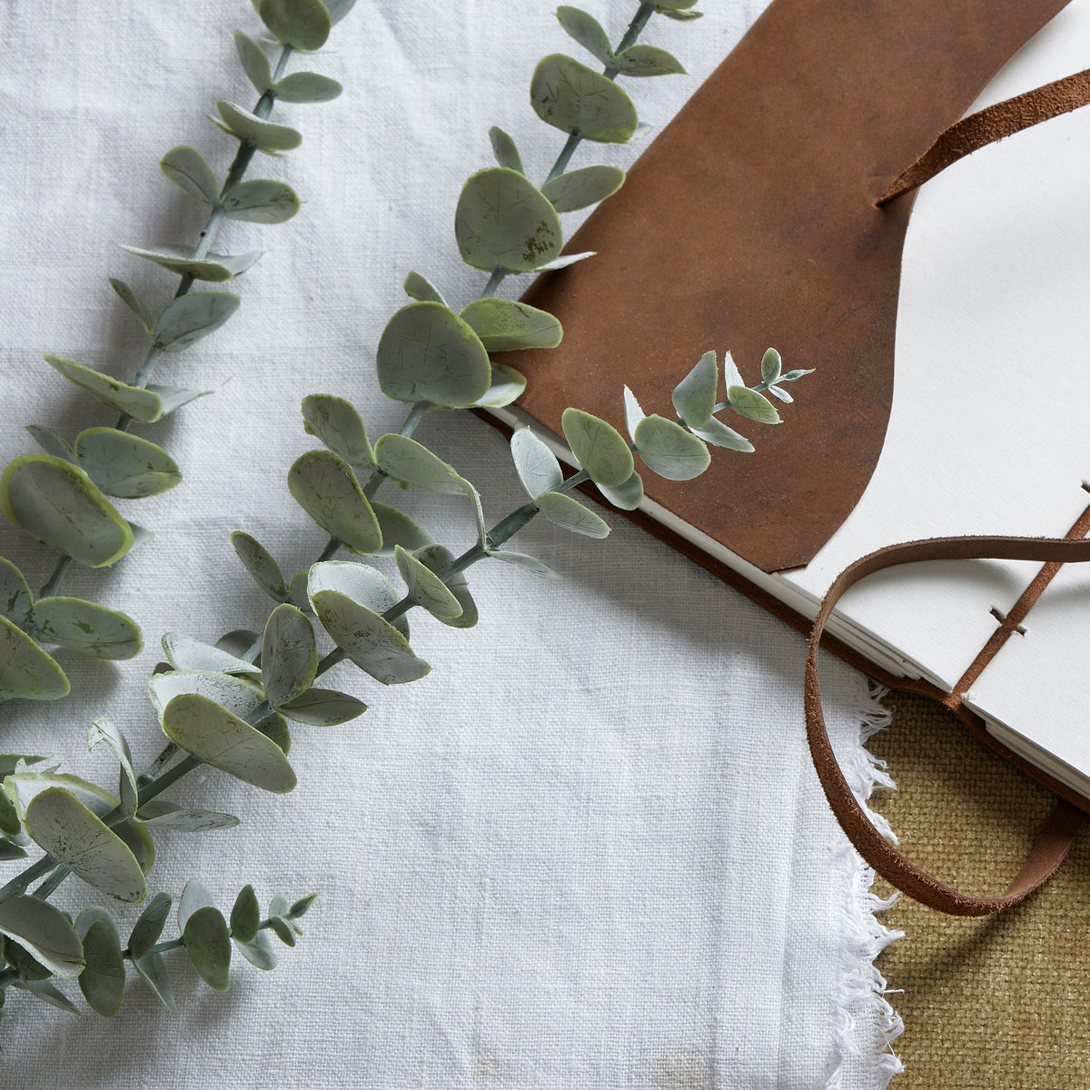 Gunnii Frosted Eucalyptus Spray