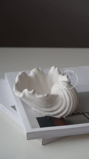 Elegant shell jewellery dish bone white