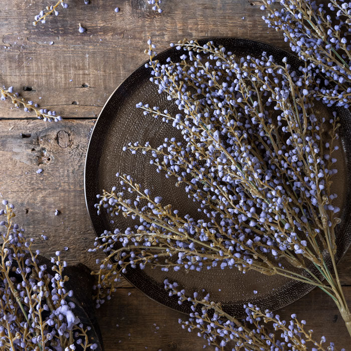 Heather Stem Lilac