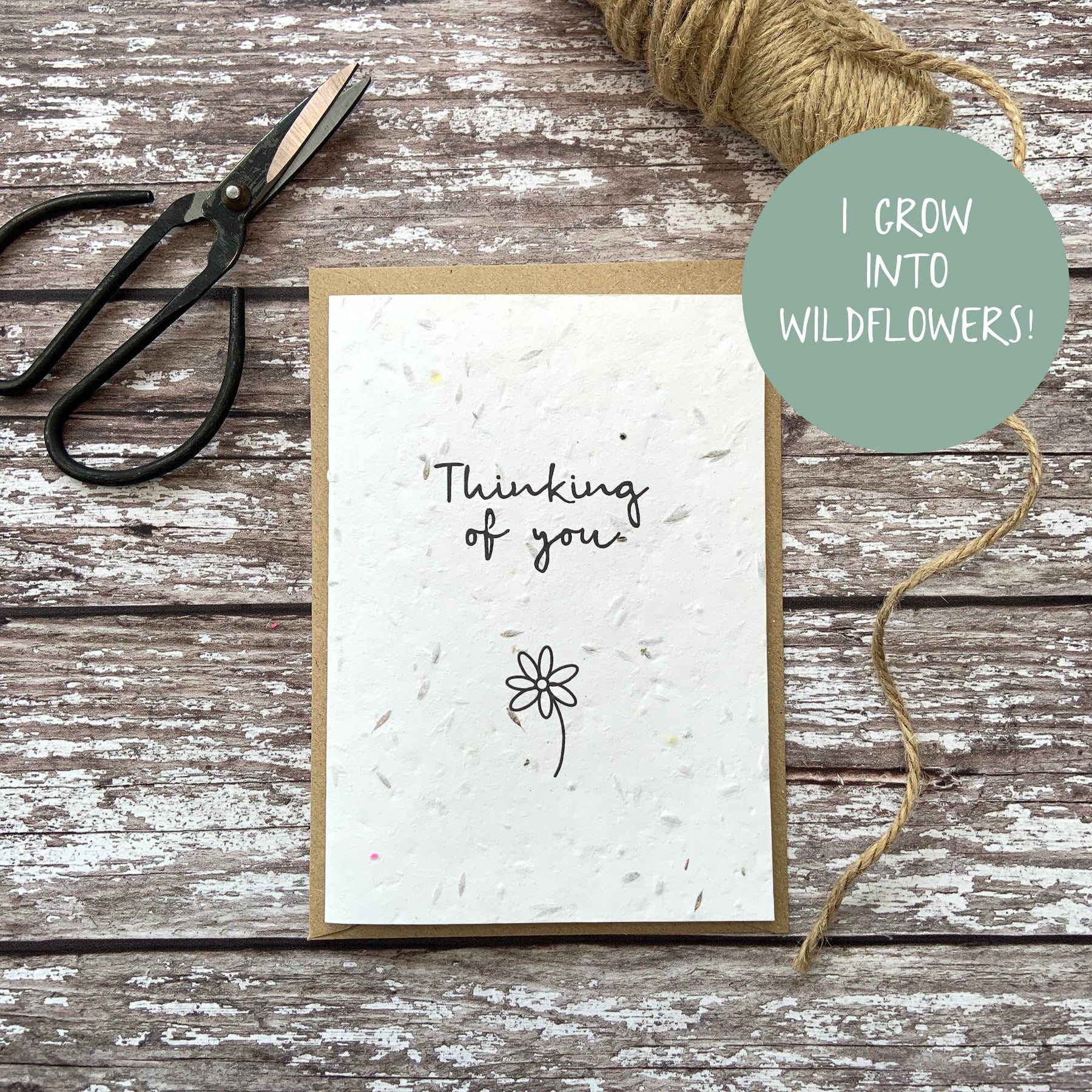 Thinking of you plantable seed card