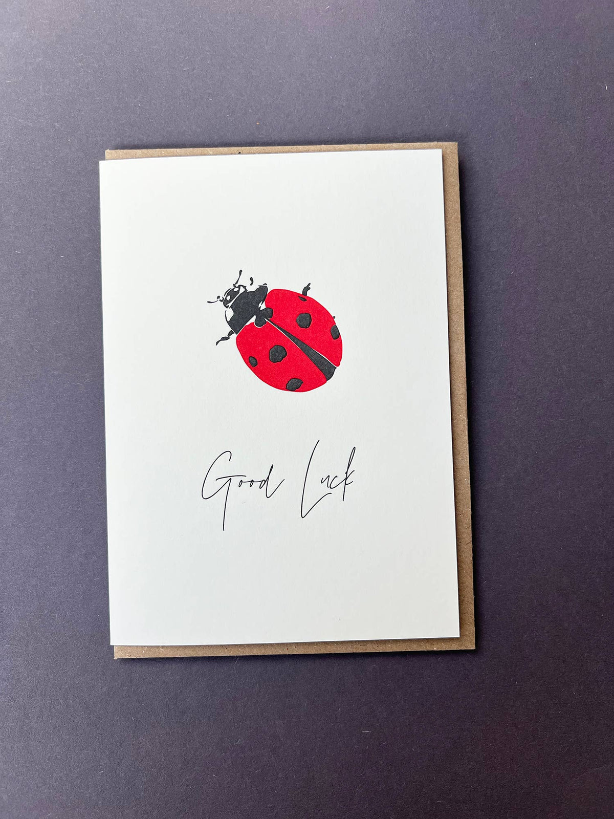 Good Luck Ladybug Card