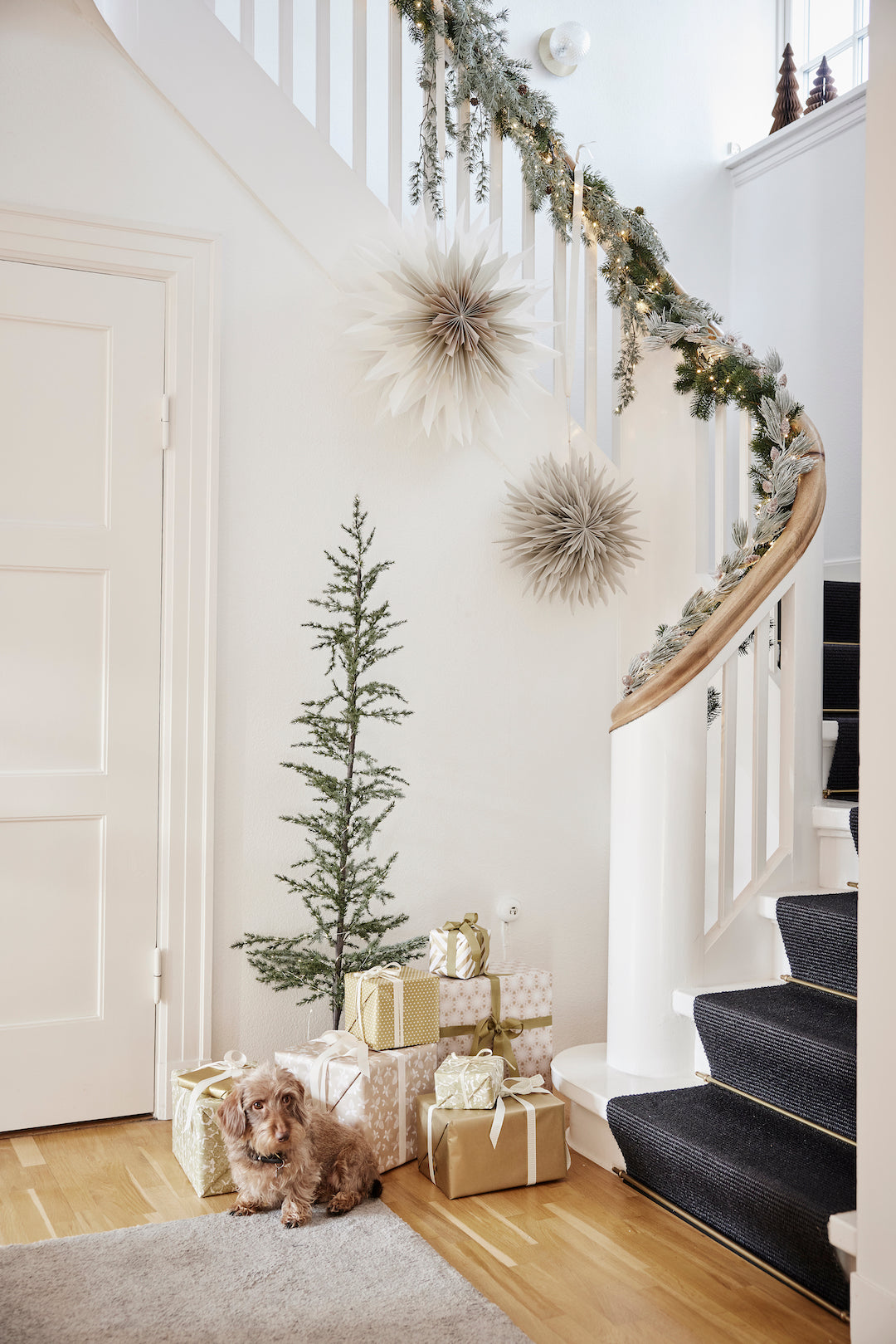 Palisia Decoration Star 60cm