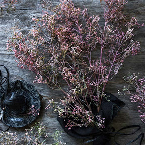 Wild Privet