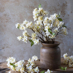 Apricot Blossom