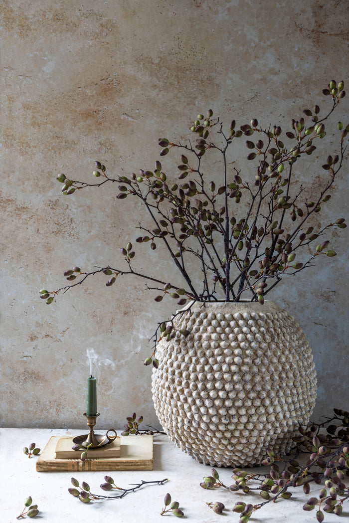 Barberry