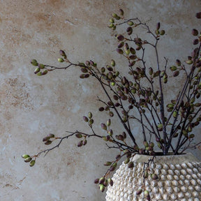 Barberry