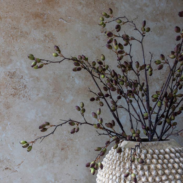 Barberry