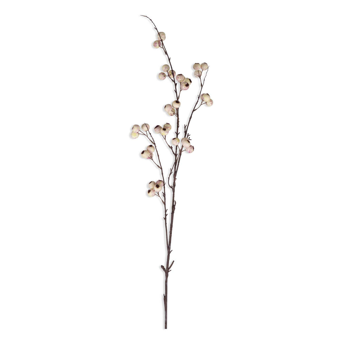 Hawthorn Cream