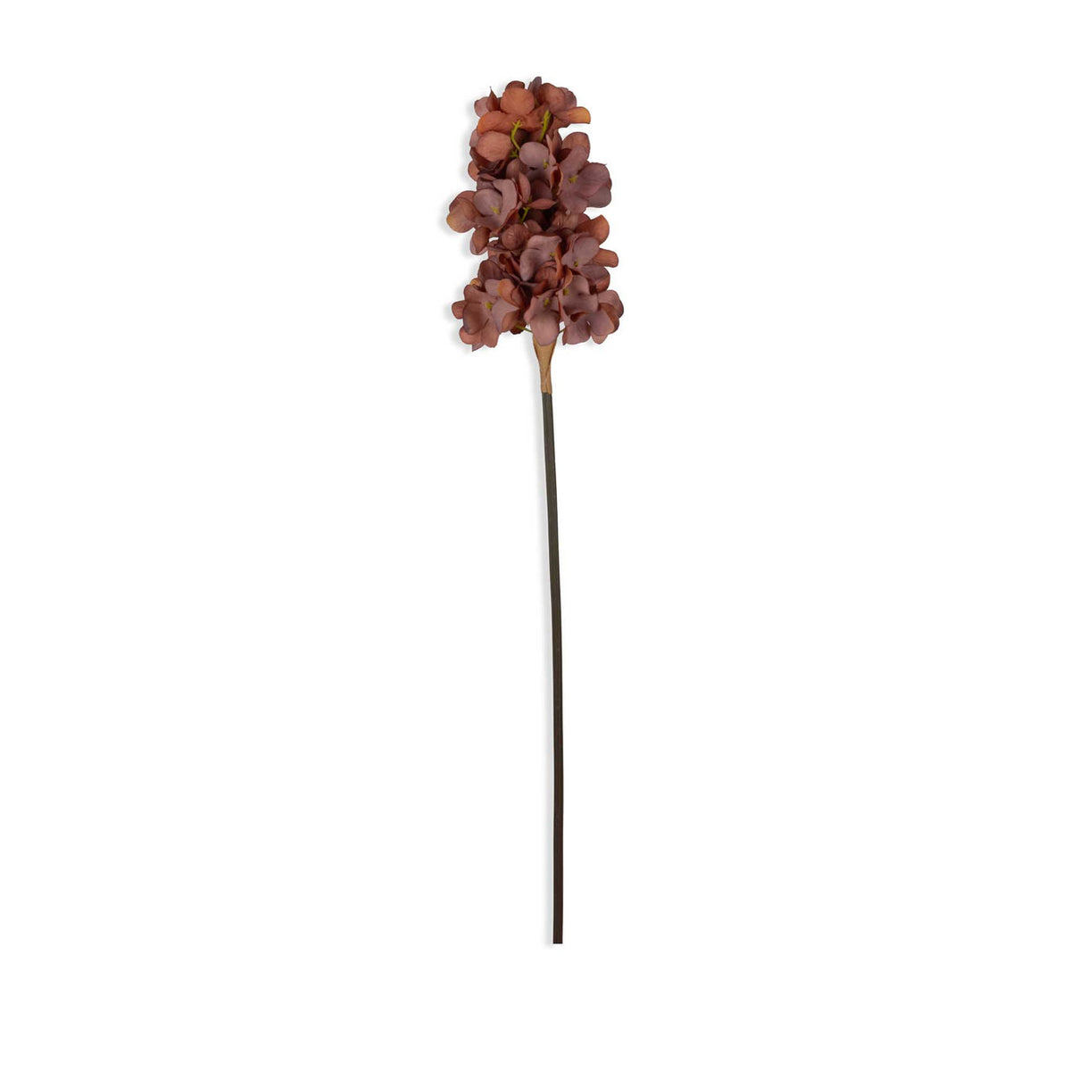 Cone Hydrangea Antique Pink