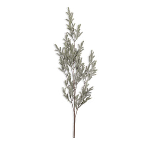Pine Branch Frost
