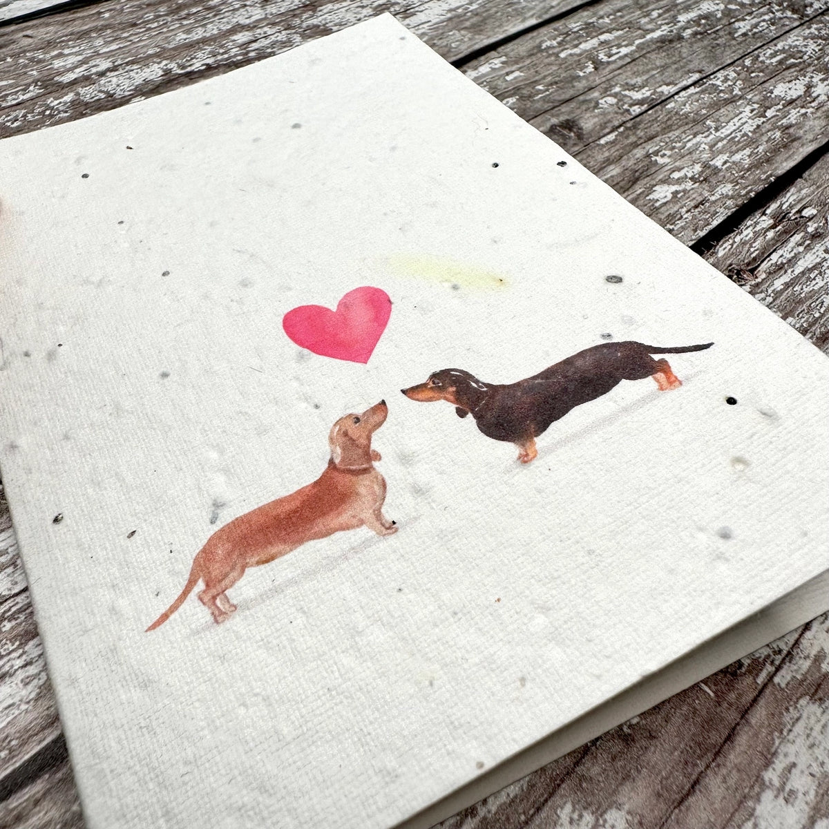 Sausage Dogs Plantable Seed Card