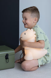 Jeroom Dino LED Light Sand 30cm