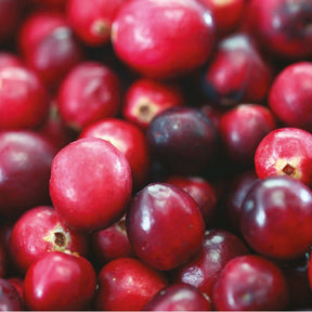 Pimento & Cranberries Reed Diffuser