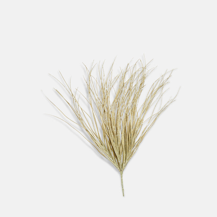 Savannah Grass