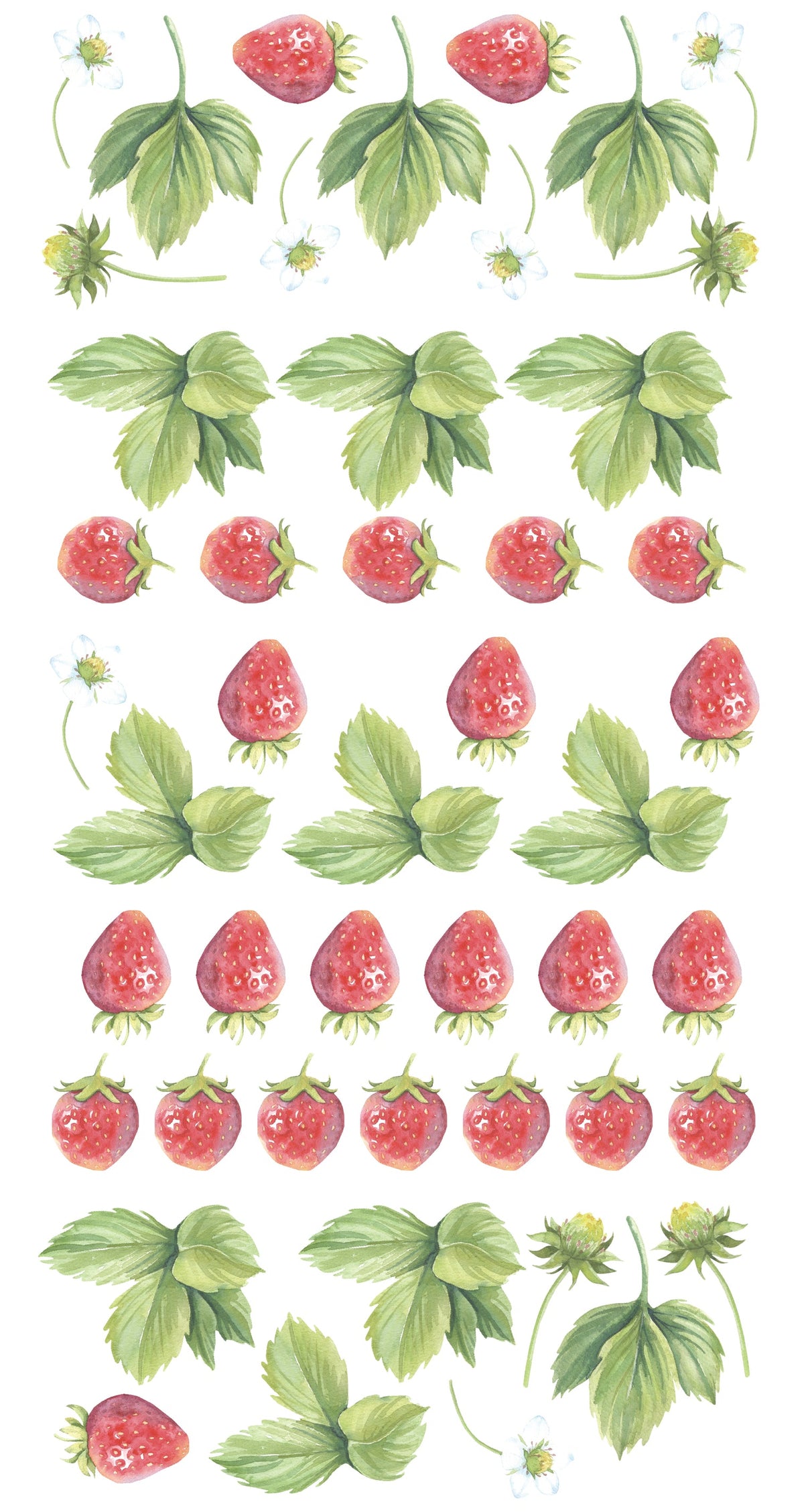 Strawberry Wall Decals