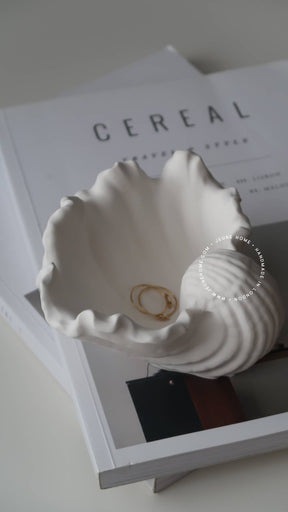 Elegant shell jewellery dish bone white