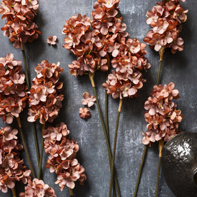 Cone Hydrangea Antique Pink