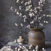 Hawthorn Cream