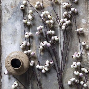 Hawthorn Cream