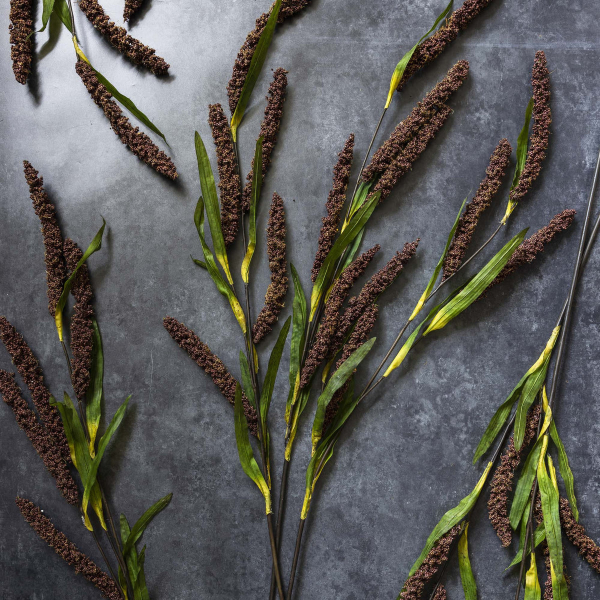 Rice Flower