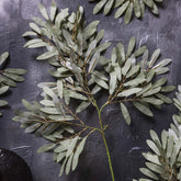 Willow Soft Green