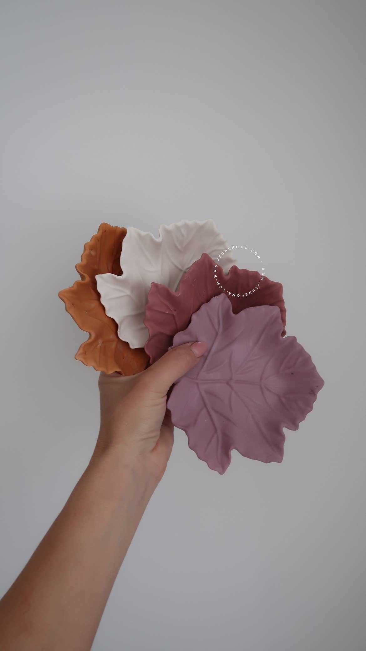 Leaf tray : White